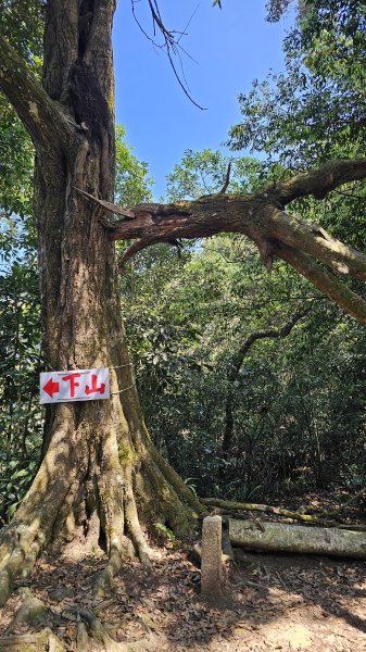 【赤腳闖魔王，好神啊！💪】第21次下尾寮山⛰️。沒事來走就對了💪💪3052425