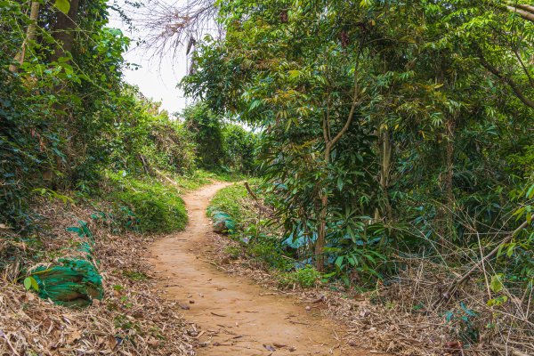 [嘉義]蘭潭水庫、紅毛埤山2757633