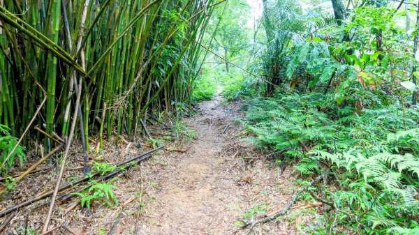 石笋古道,焿子寮古道,松子嶺古道2798320
