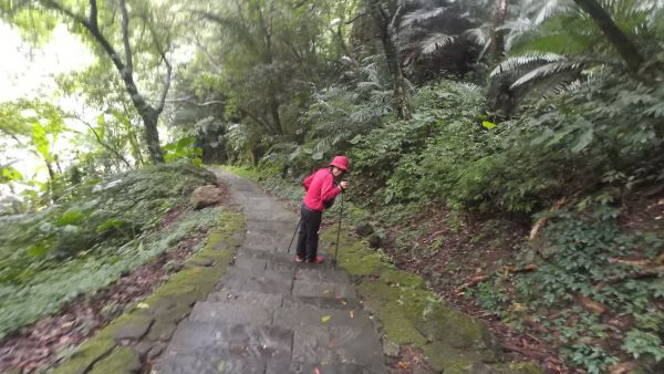 獅山步道214641