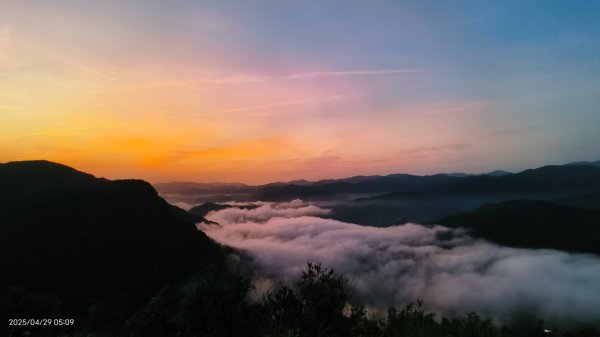 翡翠水庫壩頂 #火燒雲雲海 #日出雲海 #鱷魚島 #藍腹鷴 4/292772674