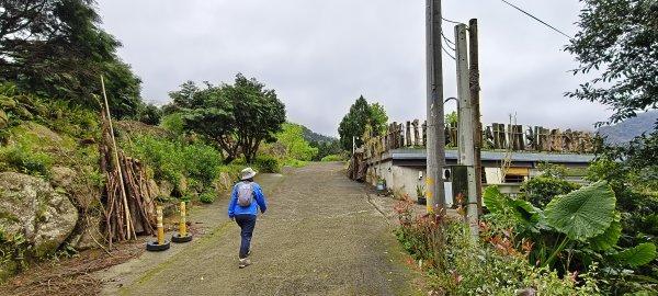 2025/03/16_蓬萊溪護魚步道+萊園坪山2737582