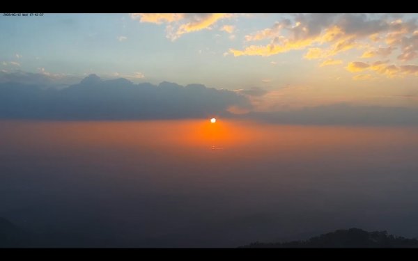 阿里山雲瀑&雲海/富士山直播即時視訊834373