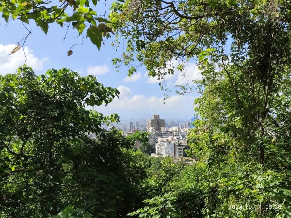 天母→猴洞→湖山→半嶺→第二展望臺→陽峰古道→花田花草集【發現陽明山】2-12629102