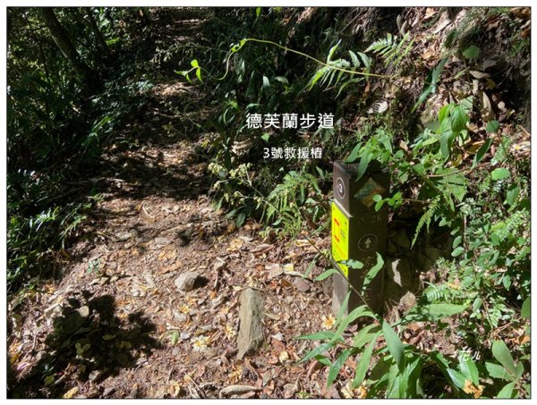 北松鶴山、德芙蘭步道 (台中 和平)2922143