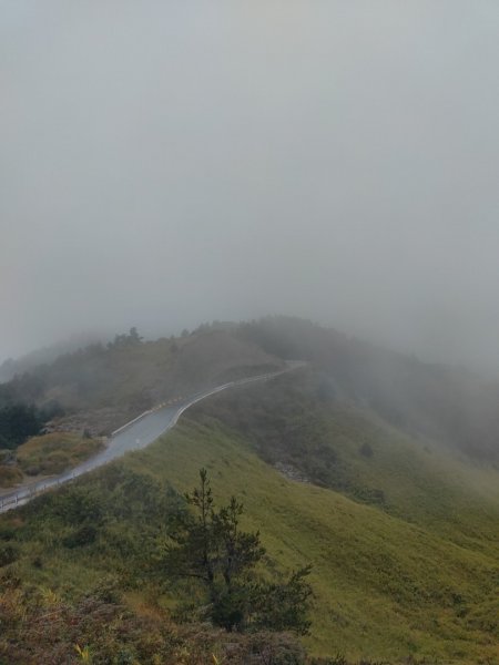 20231116🥶🥶🥶合歡北峰 反射板🧗2351928