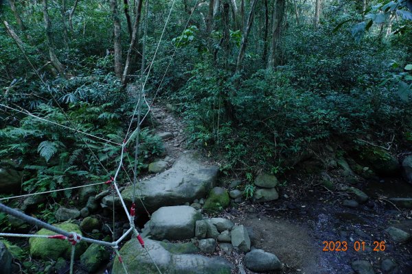 屏東 獅子鄉 里龍山(里隆山、里瀧山、鯉龍山)、下里龍山2018545