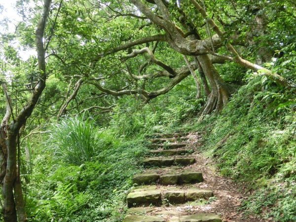 紗帽山．前山公園93914