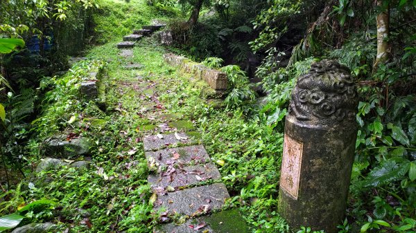 2026樟之細路 | 第二大段 | 關西~橫山3041816