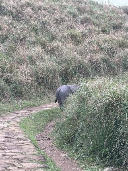 台北 士林 風櫃嘴3010310