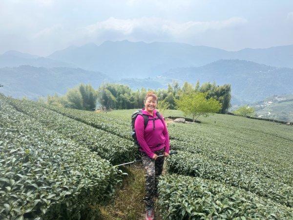 月眉山、海鼠山、生毛樹山、野薑花步道、進學古道3020762