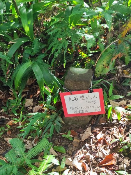 貢大縱走（新北貢寮-宜蘭大溪）2890343