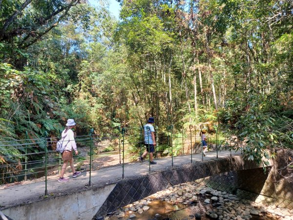 【南投魚池】澀水森林步道2933042