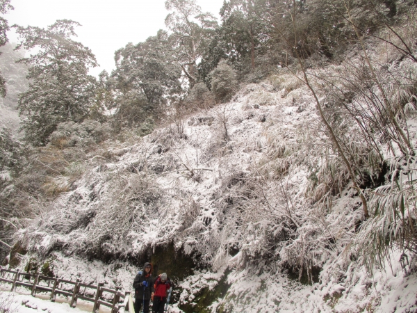 拉拉山之雪263077