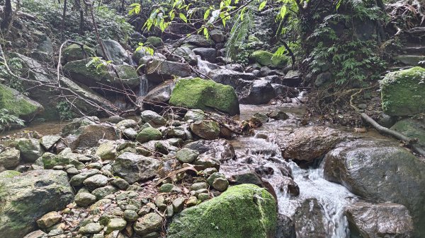 楊廷理古道2814587