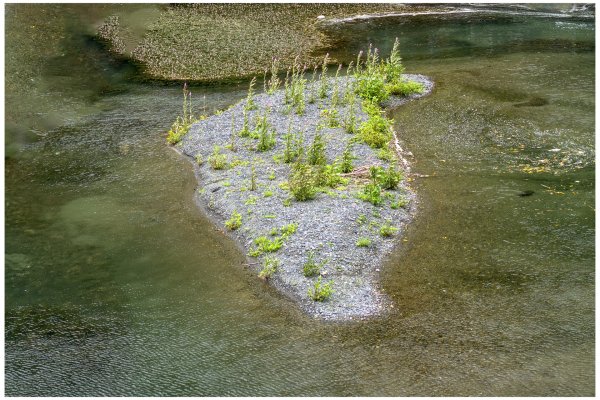 礁溪 五峰旗-跑馬古道3029595