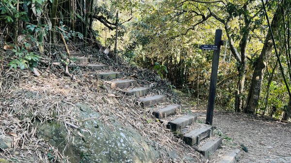 [台南東山]崁頭山步道|林蔭巨石木棧道視野遼闊的親子簡單輕鬆步道|優雅竹林圍繞三角點清幽野餐1603471