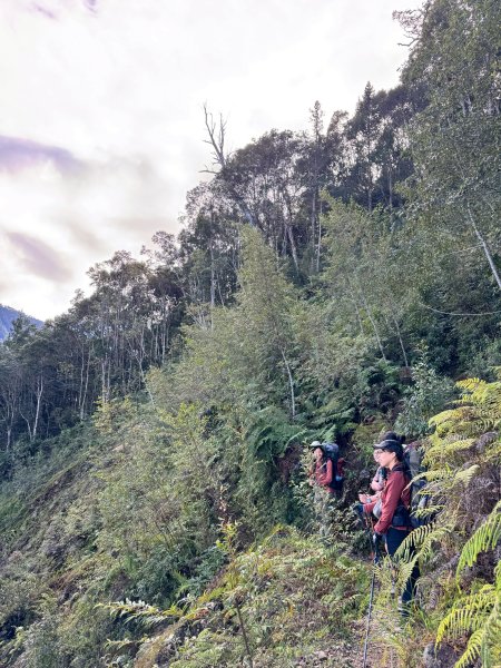 2025.11.30 西巒大山2952285