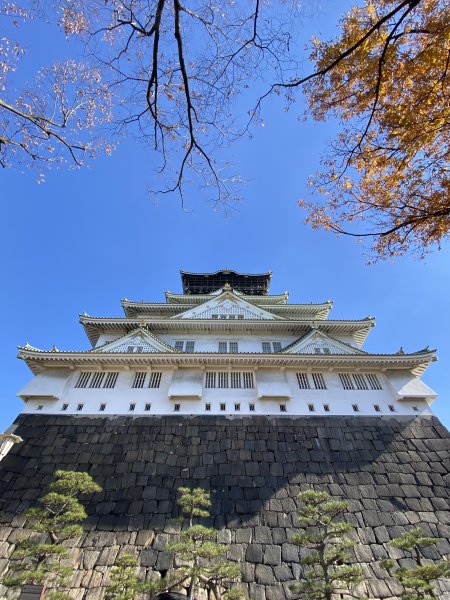 楓之絆----京都大阪賞楓