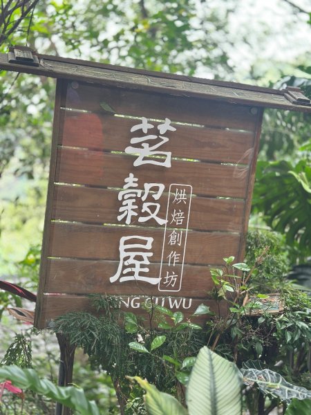 台北大縱走43140254