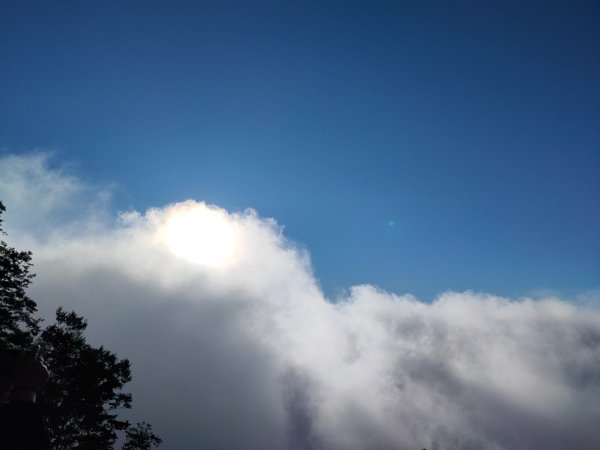 觀霧雲海山林之美2923635