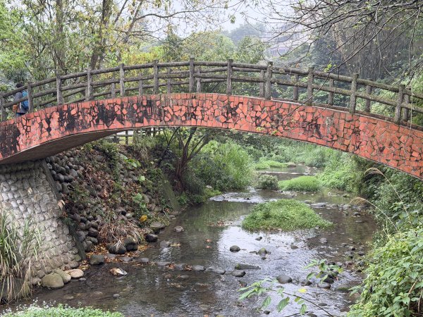 [樟之細路_第一大段RSA01] 2026_0329 清水坑溪景觀3026611