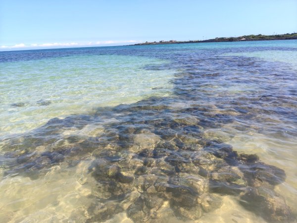 韓國濟州島：牛島：西演白沙2912757