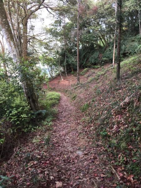 惠蓀林場-小出山308524