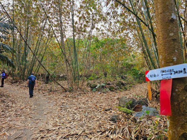 小百岳集起來-三腳南山2184527