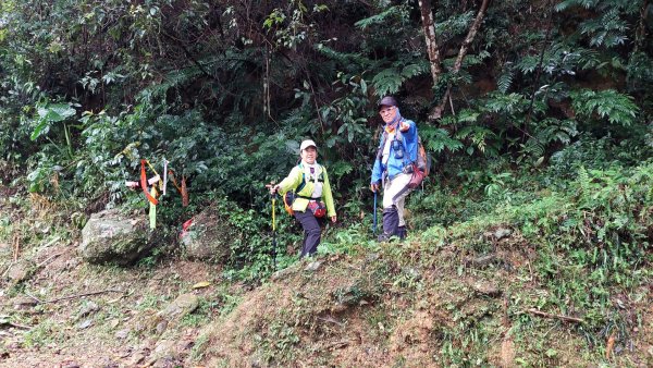 新竹內灣麥樹仁山五連峰2763829