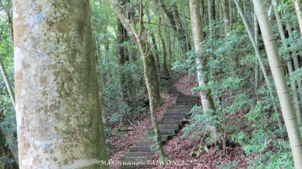 《雲林》望好望角｜石壁山嘉南雲峰步道(中側登山口）202506072805487