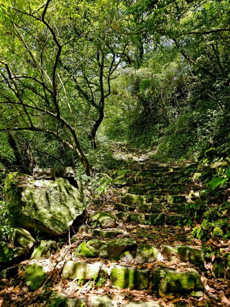 2025年臺北大縱走第二段： 二子坪至小油坑2763774