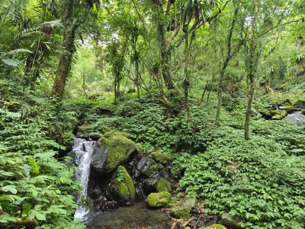 聖母登山步道（抹茶山）、三角崙山（小百岳）2774103