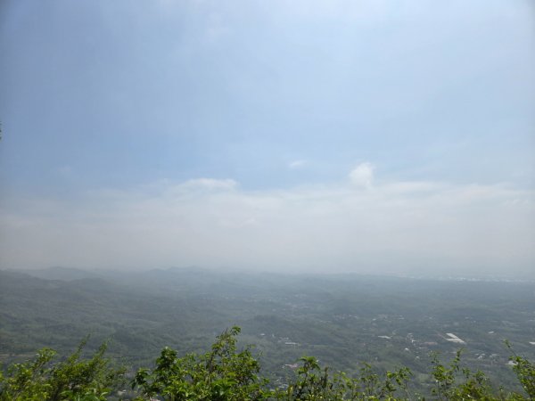 龍麟山步道2748681