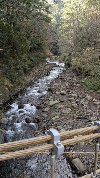 環山獵人登山步道3014389