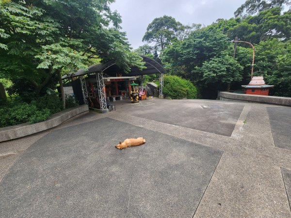 20260419觀音山繞一周3054799