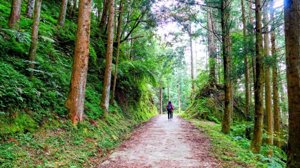 油羅山(一上三下)2959197