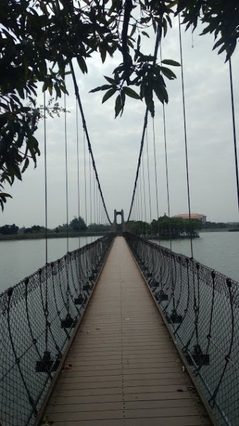 2020 2/4 虎頭埤878929