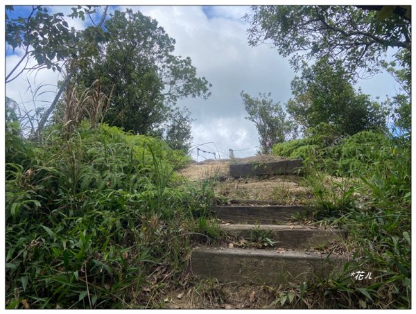 金龍湖、鷹石尖、老鷲尖、內溝山 O型一圈2966616