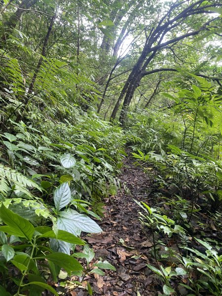 【淡蘭古道尋寶任務】淡蘭南路第四段｜𩻸魚堀溪自行車道至縣界公園2926450