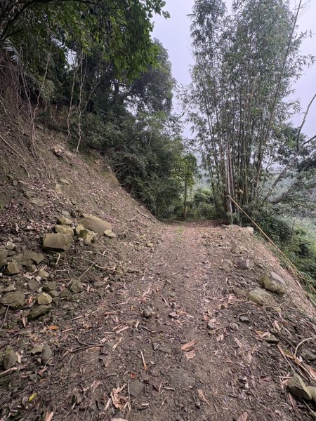 20251108西阿里關山步道(小林村東側登山口啟登)2933491