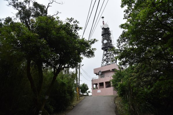 樹林大棟山／小百岳0151408549