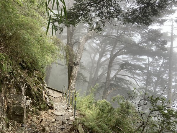 玉山北峰主峰東峰2560036