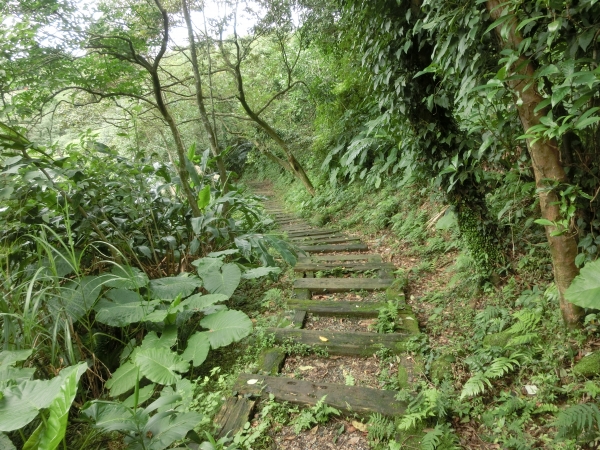 四腳亭砲台．三坑子步道97522