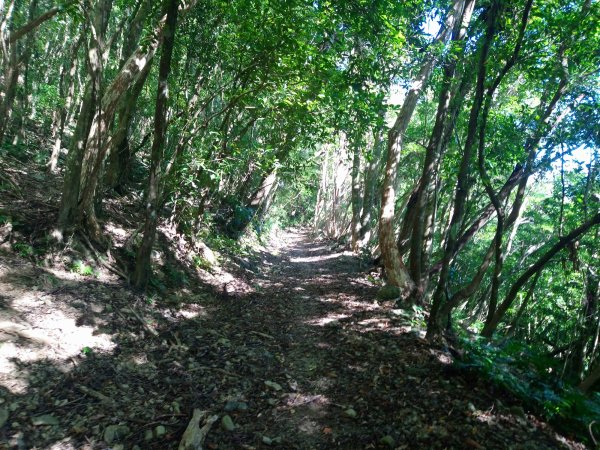 浸水營古道-年輕人爬山趣2767169