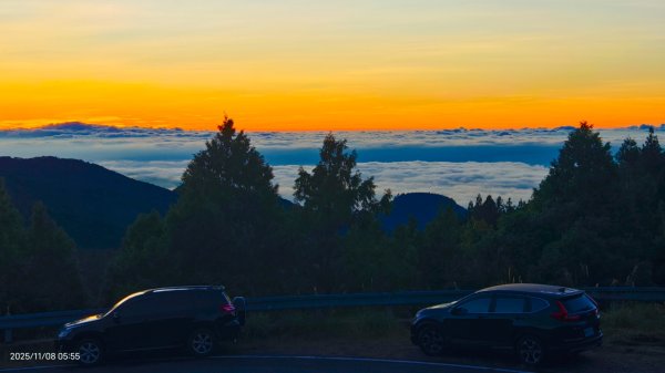 #太平山 #望洋山 #觀雲步道 #日出 #雲海 11/82931211