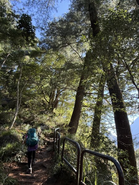 波津加山 202509142893369