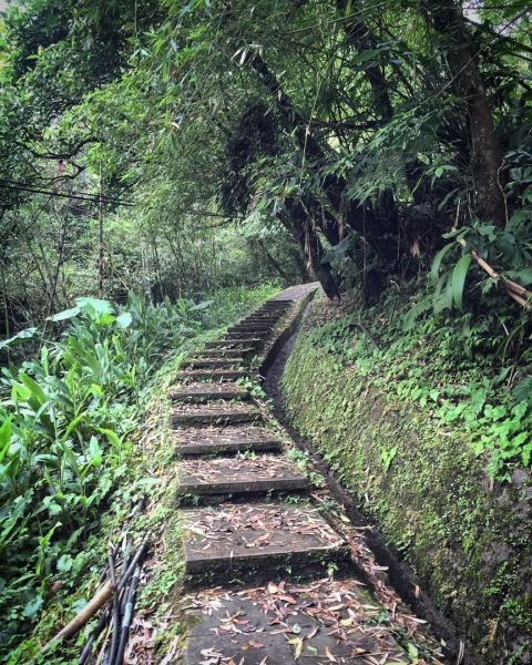 孝子山、慈母嶺、普陀山155614