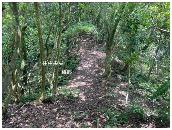 平溪中央尖、慈恩嶺、東勢格步道 O型一圈3072481
