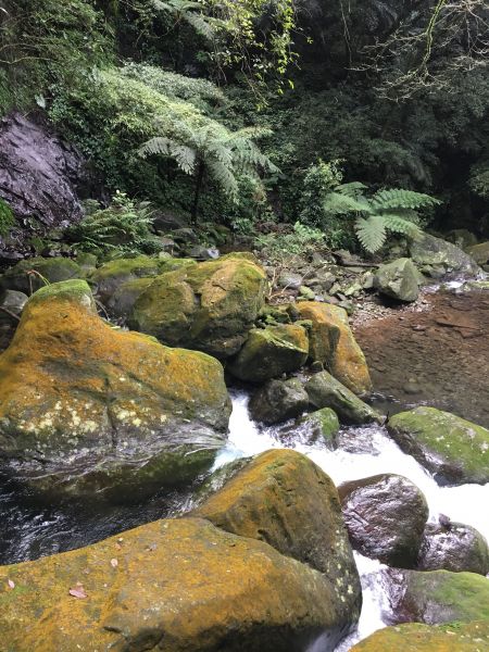 106.02.27.青山瀑布步道103831